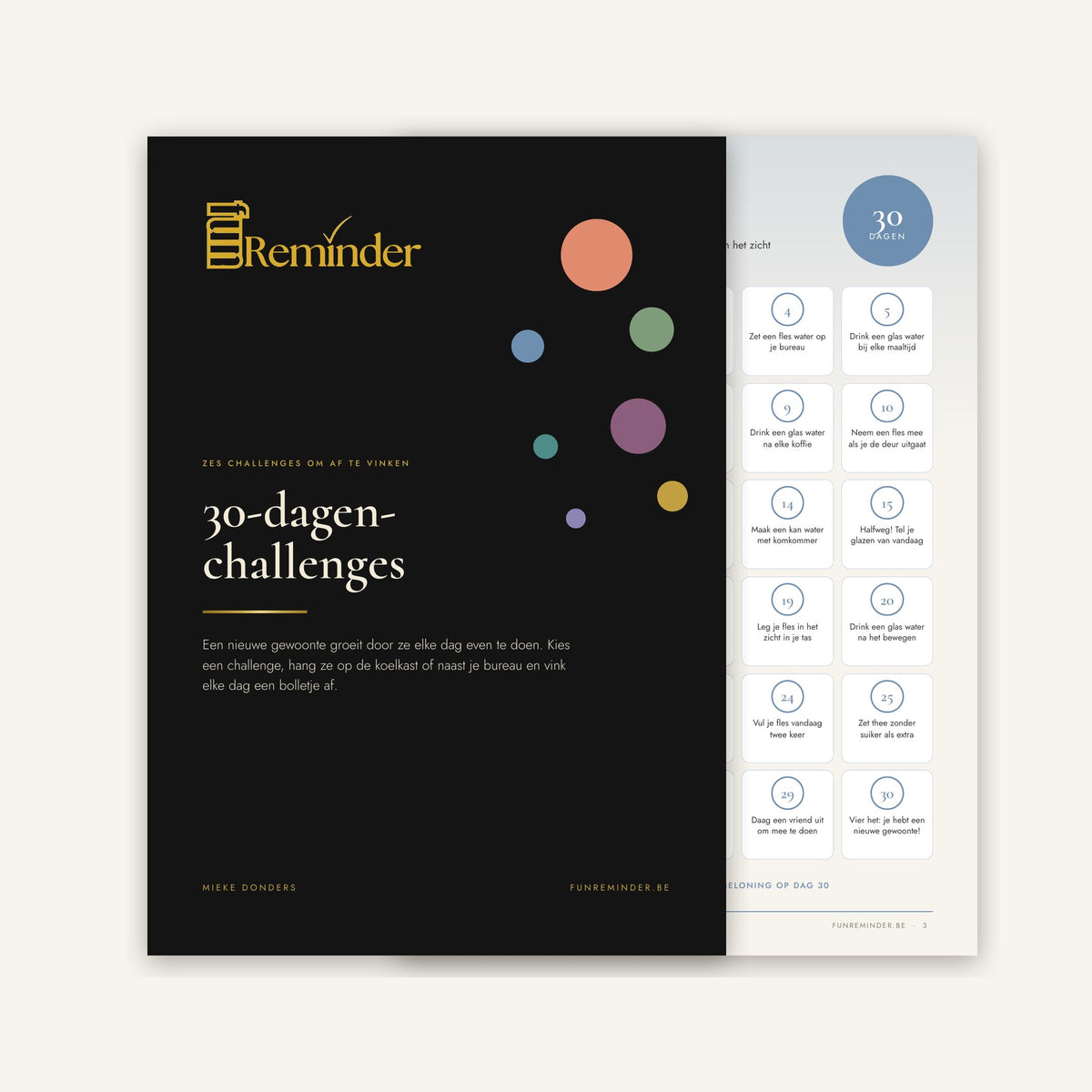 30-Day Challenges, digital download by Fun Reminder