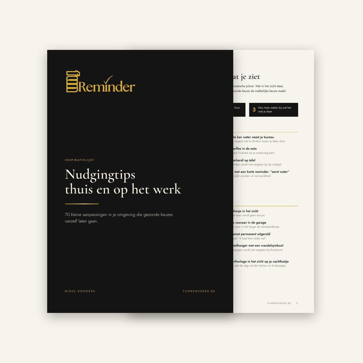 Nudging Tips at Home and at Work, digital download by Fun Reminder